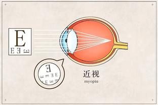 开云电竞登陆网址查询